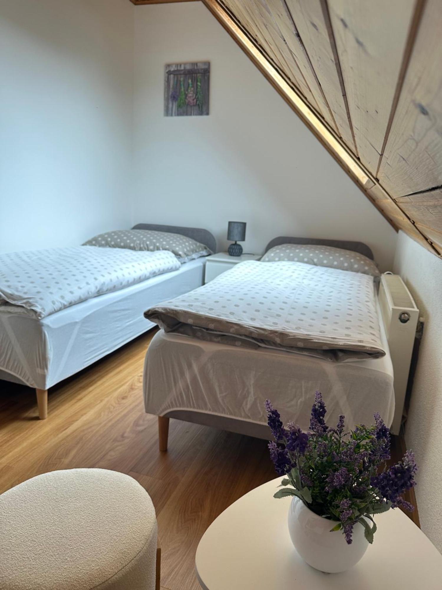 Apartman Jako U Babicky Tisá Exterior foto